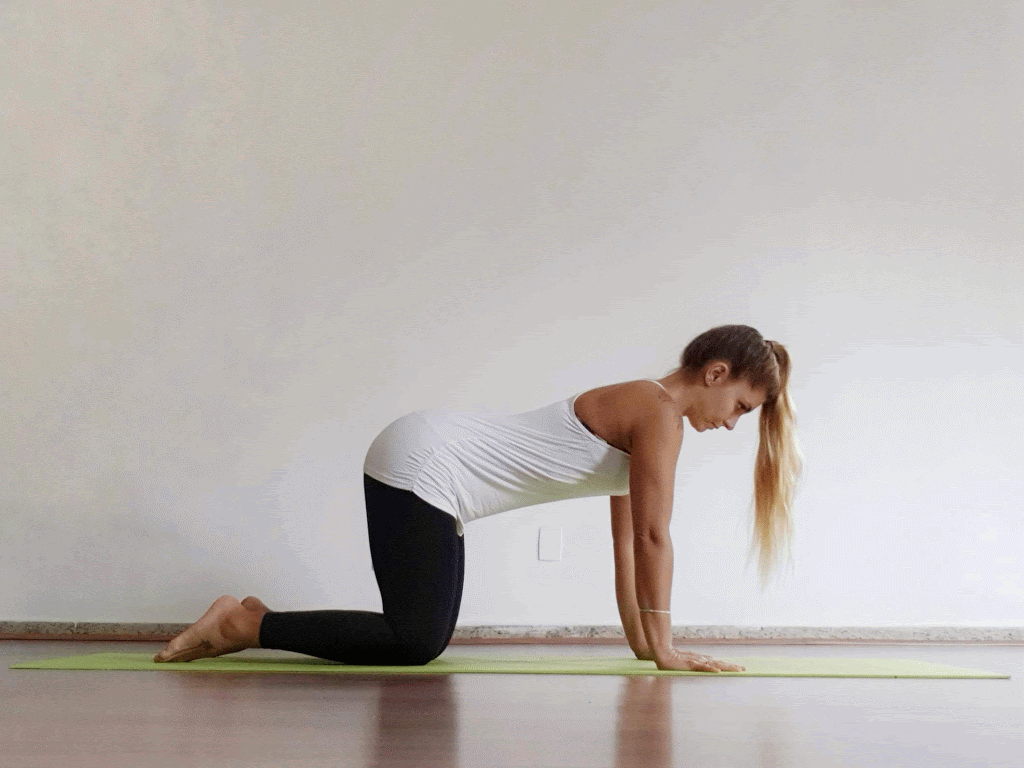 f29ae9c6 20190703 091609 01 animation