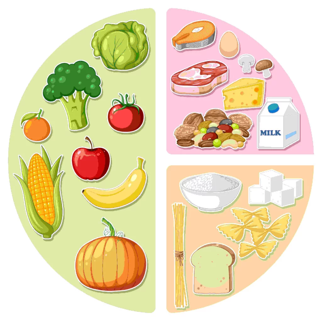 Dicas para uma alimentação balanceada e nutritiva 3 alimento equilibrado